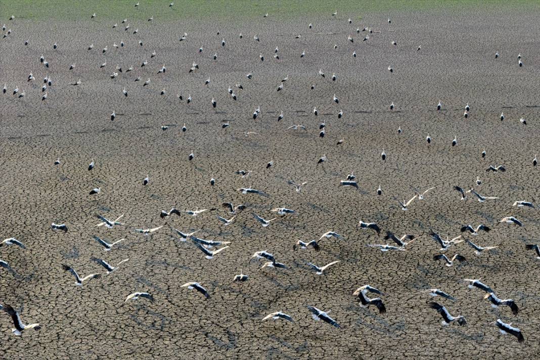 Gurbetçiler göç yolunda! Molayı Konya'da verdiler 3